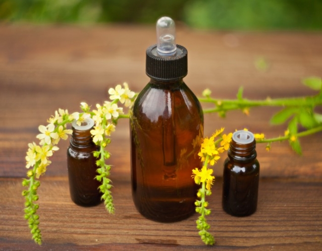 Bachblühten Anamnese