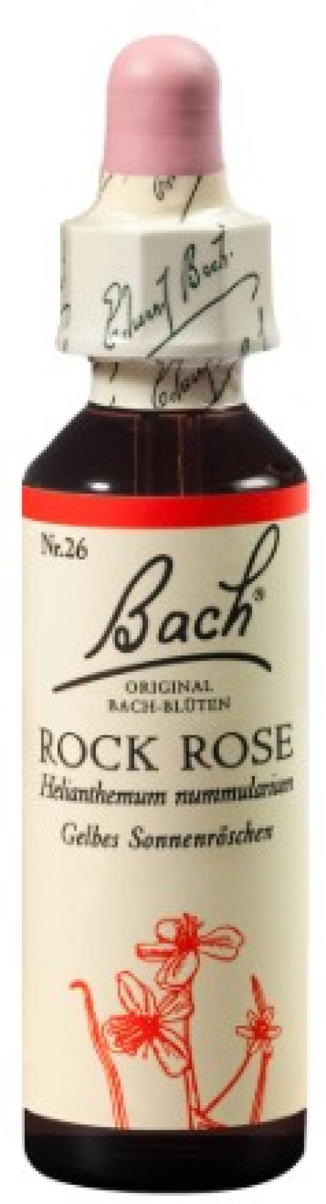 Bachblühte Nr. 20 - Rock Rose 